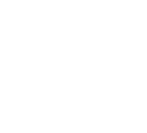 triple logo